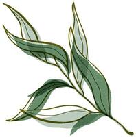 Vektor Hand gezeichnet Grün Natur Olive Ast Illustration mit retro Risograph bewirken und Spritzen Textur. Italienisch griechisch gesund Pflanze isoliert auf Weiß Hintergrund. das Konzept von Mittelmeer Lebensmittel.