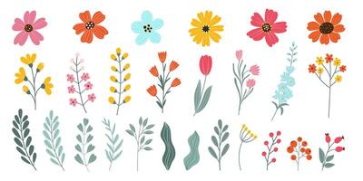 einstellen isoliert Hand gezeichnet Frühling und Sommer- Blumen. blühen Köpfe von Blumen, Kräuter, Blätter, Geäst, Beeren, Tulpe. eben Vektor Illustration auf Weiß Hintergrund. Elemente zum Ihre Design