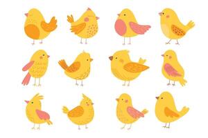 uppsättning av annorlunda söt gul fåglar. vektor
