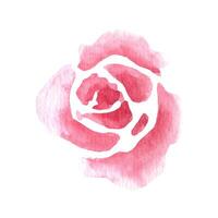 lose Aquarell Rosa Rosen. Blumen- Illustration vektor