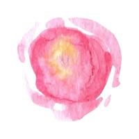 lose Aquarell Rosa Rosen. Blumen- Illustration vektor