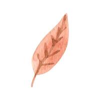 süß Herbst Aquarell Blatt. saisonal fallen Clip Art vektor
