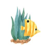 süß Seetang und Fisch, Sommer- Clip Art. Hand gezeichnet Aquarell Illustration vektor