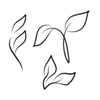 einstellen von Blätter Linie Kunst botanisch Illustration vektor