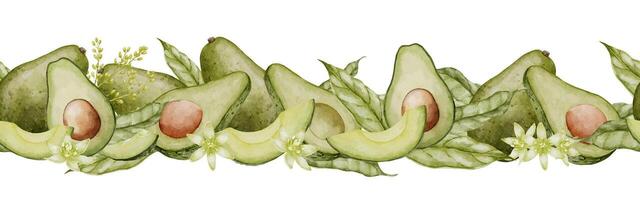 Avocado nahtlos Vektor Grenze. Aquarell Rahmen Vorlage. Muster mit Grün Früchte. Hand gezeichnet Illustration auf isoliert Hintergrund. Gemälde von Gemüse Pflanze. Zeichnung von Essen zum Blumen- Karten.