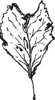 hand dragen svart löv. årgång blad, bra design för några syften. vektor