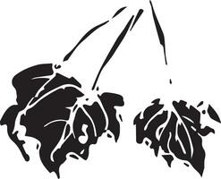 skiss teckning av en björk blad i svart och vit översikt. årgång kombination av björk blad. vektor