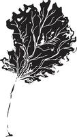 Hand gezeichnet schwarz Blätter. Jahrgang Blatt, großartig Design zum irgendein Zwecke. vektor