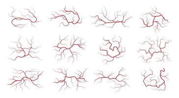 Mensch Venen. bunt Blut Schiffe mit fließend Blut, arteriell und venös System von Mensch Körper, gesund Kreislauf System. Vektor Illustration