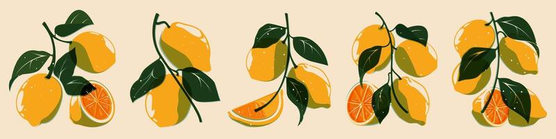 citron- växt riso samling. färsk citrus- frukt för organisk eco design, tecknad serie botanisk skriva ut element av citron- träd. vektor isolerat uppsättning