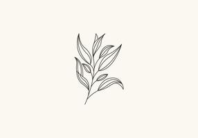 Logo botanisch Blatt und Reben Linie minimalistisch, Blumen- Logo modern und einfach. editierbar Datei vektor