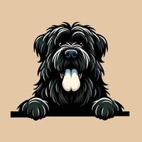 ai generiert Bouvier des Flandern spähen Gesicht Illustration Vektor