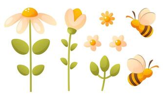 vit kamomill och snödroppe blomma, grön löv, bi. sommar blommor och insekter vektor