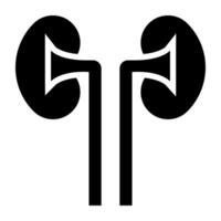 Nieren Symbol im Glyphe Design vektor