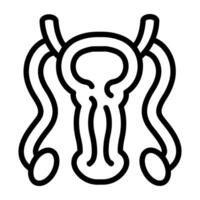 en en linjär design ikon av manlig reproduktiv organ vektor