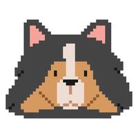 shetland sheepdog huvud pixel 1 söt på en vit bakgrund, vektor illustration.