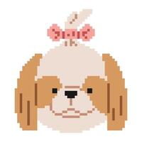 shih tzu Kopf Pixel 1süß auf ein Weiß Hintergrund, Vektor Illustration.