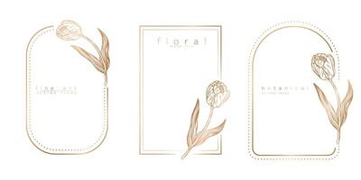 uppsättning av ram mallar i minimal linjär stil med hand dragen tulpaner. elegant tulpan gräns. blommig vektor illustration för etiketter, företags- identitet, bröllop inbjudan, logotyp, spara de datum.