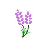 Lavendel Symbol Vektor Design Vorlagen