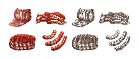 einstellen von handgemalt farbig und einfarbig Skizzen von Fleisch Stücke, Speck, Schinken, Schweinefleisch, Wurst. frisch Fleisch Produkte. zum Design von Speisekarte, Metzger Geschäft. Jahrgang graviert Illustration. vektor