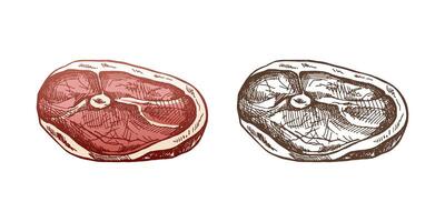 handgemalt farbig und einfarbig skizzieren von Fleisch, Schweinefleisch oder Rindfleisch Steak, hacken Fleisch, ein Stück von Fleisch schneidet, Vektor Illustration. Jahrgang Illustration. Dekorationen zum das Speisekarte. graviert Bild.