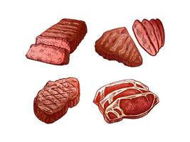 organisch Lebensmittel. handgemalt farbig Vektor Skizzen von gegrillt Rindfleisch Steaks, Stücke von Fleisch. Jahrgang Illustration. Dekorationen zum das Speisekarte. graviert Bild.
