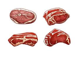 handgemalt farbig Skizzen von Stücke von Fleisch, Schweinefleisch oder Rindfleisch Steak, hacken Fleisch, Speck, Stück von Fleisch schneidet, Vektor Illustration. roh Fleisch. Jahrgang Illustration. Dekorationen zum Speisekarte von Cafés.