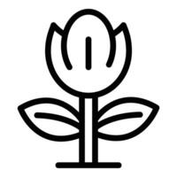 amsterdam tulpaner symbol ikon översikt vektor. vår holland blomma blomma vektor