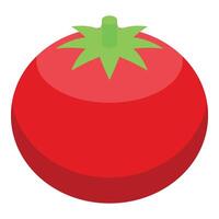 röd organisk tomat ikon isometrisk vektor. näring mat vektor