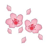 illustration av körsbär blomma vektor