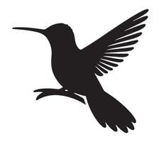 schwarz und Weiß Allens Kolibri Silhouette. Vektor Illustration.