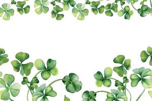 sömlös gräns med vitklöver och klöver vattenfärg illustration isolerat på vit bakgrund. målad grön fyra löv. hand dragen irländsk symbol. design element för St Patrick's dag, paket, märka. vektor