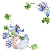 Ostern Rahmen mit Eier, Kleeblatt und Safran. Blumen- Ostern Illustration mit Krokus, Kleeblatt isoliert auf Weiß Hintergrund. Aquarell Frühling Blumen Hand gezeichnet zum Design Gruß Karte, Dekoration. vektor