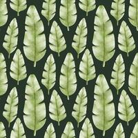 grön handflatan löv i bebis stil. tropisk botanisk bakgrund. vattenfärg sömlös mönster för design varor, kort, vykort, tyg, scrapbooking, kontor leveranser vektor