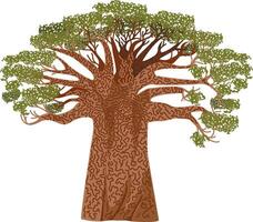 Baobab Hand gezeichnet Baum mit Muster auf das Säule, Vektor bunt Illustration. Affe Brot Baum Farbe skizzieren