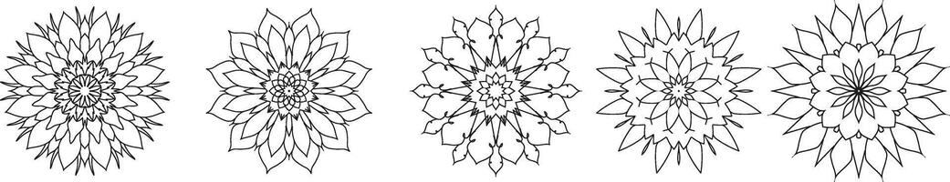 einstellen von Ornament runden Mandalas. geometrisch Kreis Element gemacht im Vektor. vektor