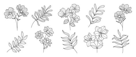 einstellen botanisch Hand gezeichnet Element Vektor. Sammlung von Laub, Zweig, Blumen, Blätter, Wildblume im Linie Kunst. minimal Stil blühen Illustration Design zum Logo, Hochzeit, Einladung, Dekor. vektor