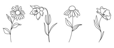 uppsättning botanisk hand dragen element vektor. samling av lövverk, gren, blommig, löv, vild blomma i linje konst. minimal stil blomma illustration design för logotyp, bröllop, inbjudan, dekor. vektor