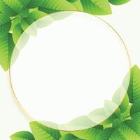 Grün Öko Blätter Hintergrund mit kreisförmig Rahmen vektor
