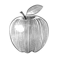 träsnitt stil äpple illustration linje konst royalty fri vektor illustration