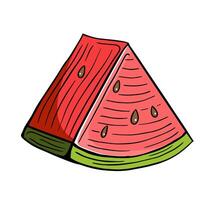 vattenmelon frukt skiva hand dragen graverat skiss teckning vektor