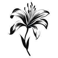 Lilie Blume schwarz Silhouette Vektor