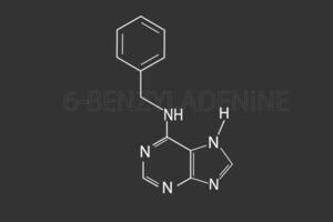 Benzyladenin molekular Skelett- chemisch Formel vektor