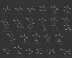 biogen amino syror molekyl skelett- kemisk formel vektor