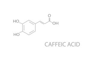 Kaffee Acid molekular Skelett- chemisch Formel vektor