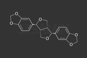 sesamin molekyl skelett- kemisk formel vektor
