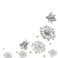Hand gezeichnet Jahrgang Blumen- Elemente Hintergrund, Rand vektor