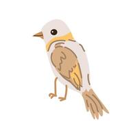 vår fågel med orange fjäder. vektor tecknad serie illustration i barnslig stil. kan Begagnade för hälsning kort, baner och affisch, klistermärke.