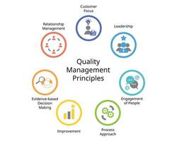de 7 principer av kvalitet förvaltning av kund fokus, ledarskap, engagemang av människor, bearbeta närma sig, förbättring, bevisbaserat beslut tillverkning, relation förvaltning vektor