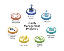 de 7 principer av kvalitet förvaltning av kund fokus, ledarskap, engagemang av människor, bearbeta närma sig, förbättring, bevisbaserat beslut tillverkning, relation förvaltning vektor
